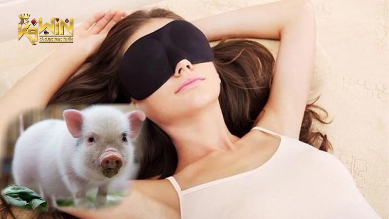 Giấc mơ thấy lợn có liên quan đến nhiều cặp số may mắn khác nhau