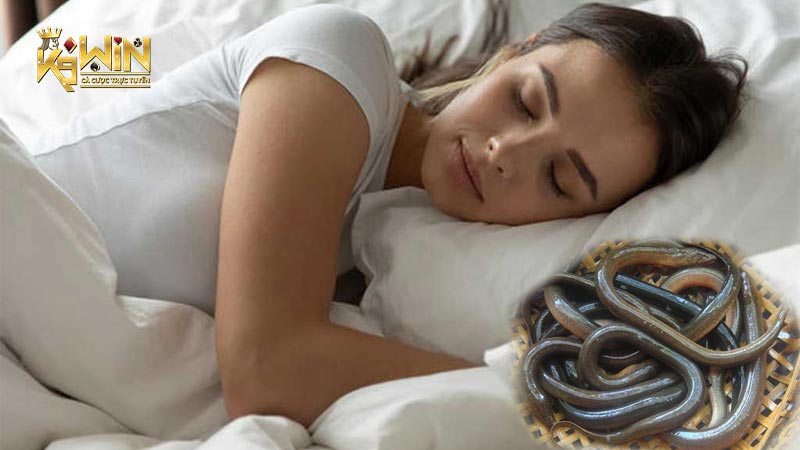 Giấc mơ thấy con lươn có liên quan đến nhiều con số khác nhau, đem đến may mắn cho bạn